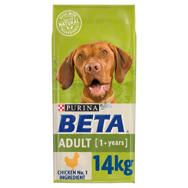 BETA Adult Chicken || Beta || view 1