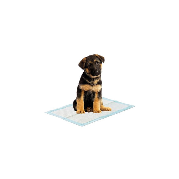 Savic Puppy Trainer Starter Set || savic || view 13