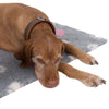 Vetbed® Isobed SL grey with hearts and paws || Vetbed || view 11