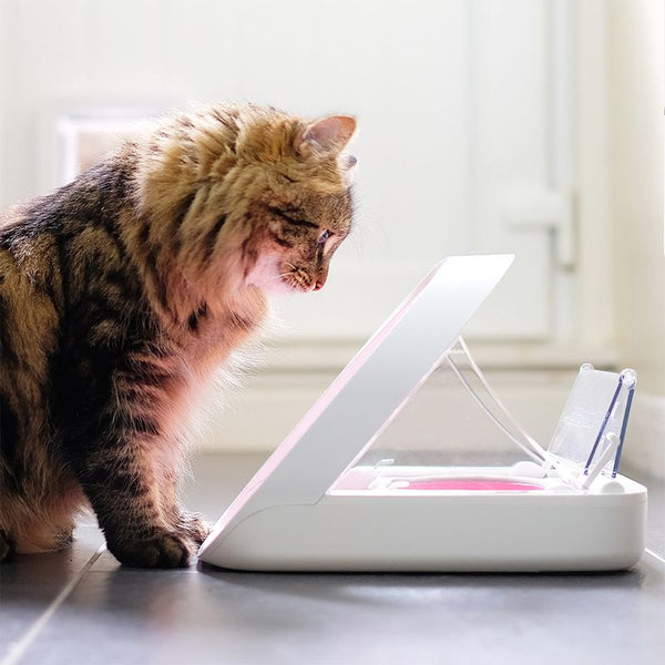 SureFeed Microchip Pet Feeder || SureFeed || view 8