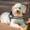 JULIUS-K9 IDC® Power Harness - Black || Julius-K9 || view 6