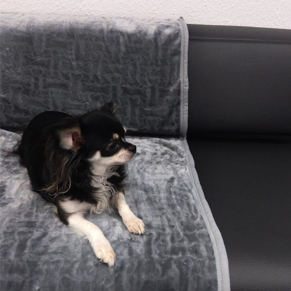 Bones Snuggle Blanket - XXL Grey || zooplus Exclusive || view 3