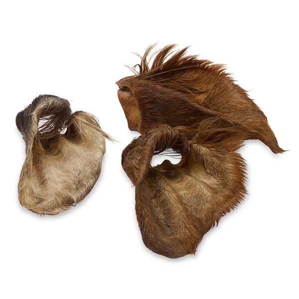 Wolf of Wilderness Dried Ears Dog Chews Saver Pack || Wolf of Wilderness || view 5
