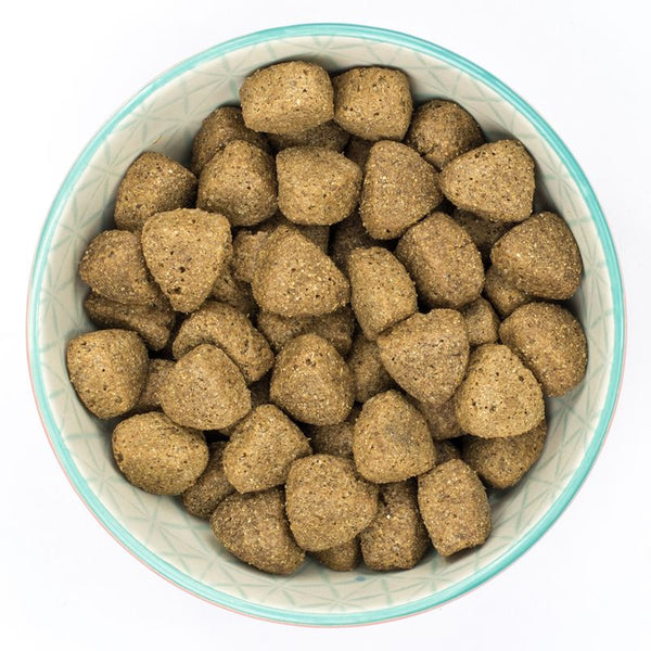 Burns Large and Giant Breed Original - Chicken & Rice || Burns || view 6