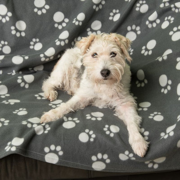 Pawty Fleece Blanket || zooplus Exclusive || view 5