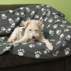 Pawty Fleece Blanket || zooplus Exclusive || view 17