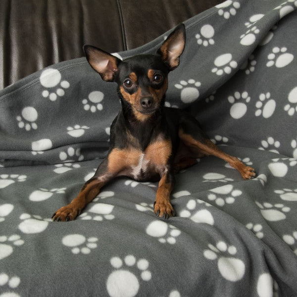 Pawty Fleece Blanket || zooplus Exclusive || view 4