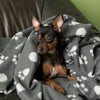 Pawty Fleece Blanket || zooplus Exclusive || view 13