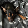 Pawty Fleece Blanket || zooplus Exclusive || view 12