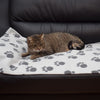 Pawty Fleece Blanket || zooplus Exclusive || view 20