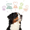 Yarrah Organic Dog Chew Sticks || Yarrah || view 2