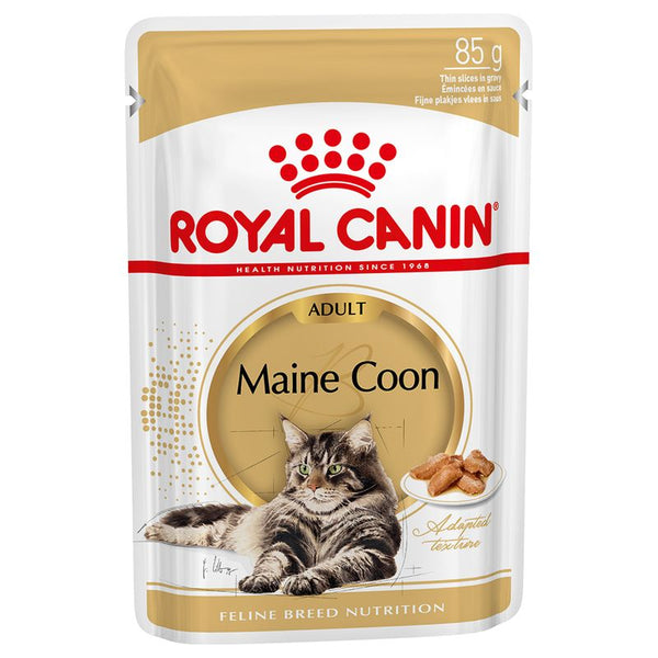 Royal Canin Maine Coon Adult in Gravy || undefined || view 2