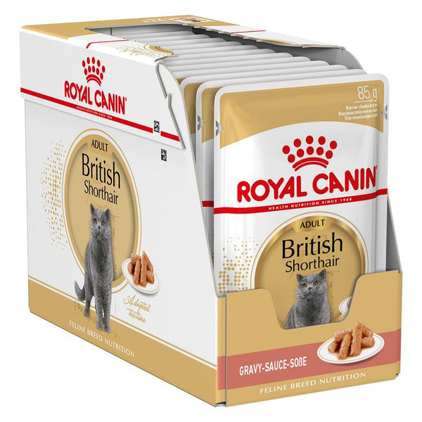 Royal Canin British Shorthair Adult in Gravy || undefined || view 6