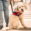 JULIUS-K9 IDC® Power Harness - Red || Julius-K9 || view 11