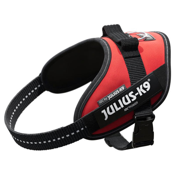 JULIUS-K9 IDC® Power Harness - Red || Julius-K9 || view 2