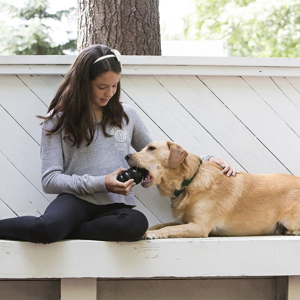 KONG Extreme - Black || KONG || view 12