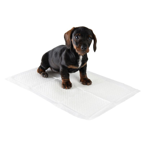 zooplus Puppy Trainer Pads || zooplus Exclusive || view 3