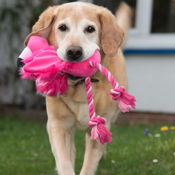Flamingo Dog Toy with Rope || zooplus Exclusive || view 2