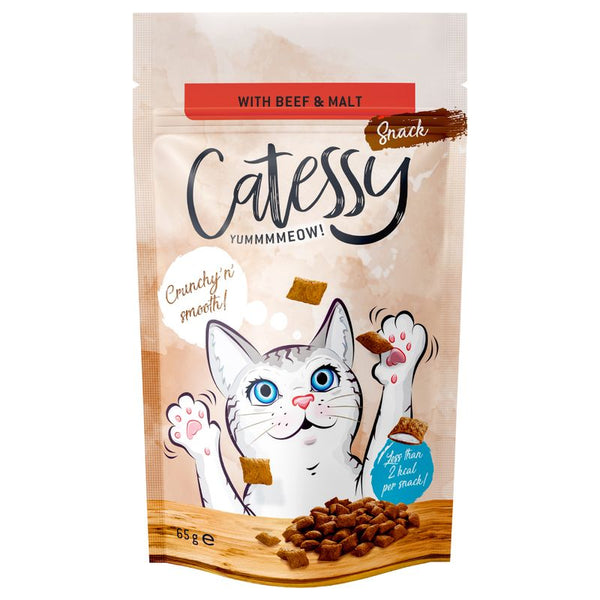 Catessy Crunchy Snacks 65g || undefined || view 1