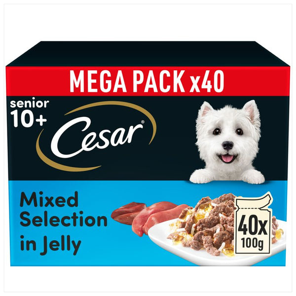 Cesar 10+ Senior Selection in Jelly || Cesar || view 2