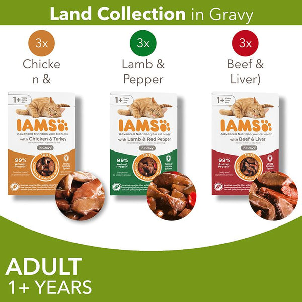 IAMS Advanced Nutrition Adult – Land Collection in Gravy || IAMS || view 2