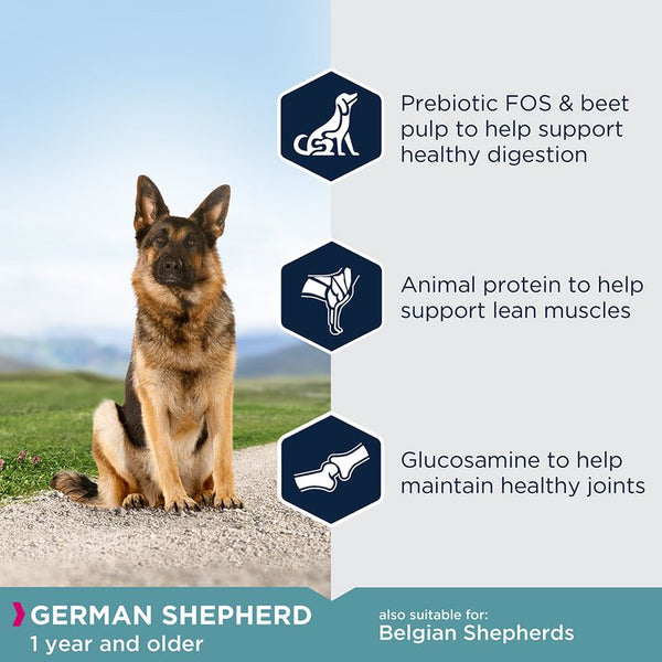 Eukanuba German Shepherd Adult || Eukanuba || view 2