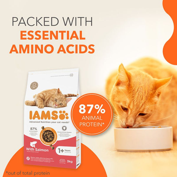 IAMS Advanced Nutrition Adult Cat with Salmon || IAMS || view 2