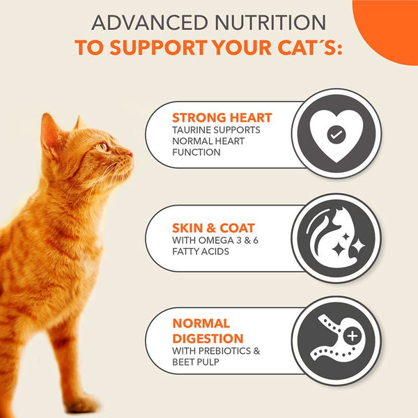 IAMS Advanced Nutrition Adult Cat with Salmon || IAMS || view 3