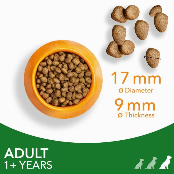 IAMS Advanced Nutrition Adult Large Dog - Lamb || IAMS || view 4