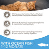 IAMS Advanced Nutrition Kitten with Ocean Fish || IAMS || view 3