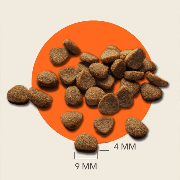 IAMS Advanced Nutrition Senior Cat 11+ with Chicken || IAMS || view 6