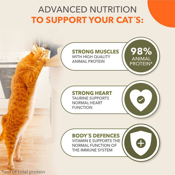 IAMS Advanced Nutrition Grain Free - Sea Collection in Gravy || IAMS || view 2