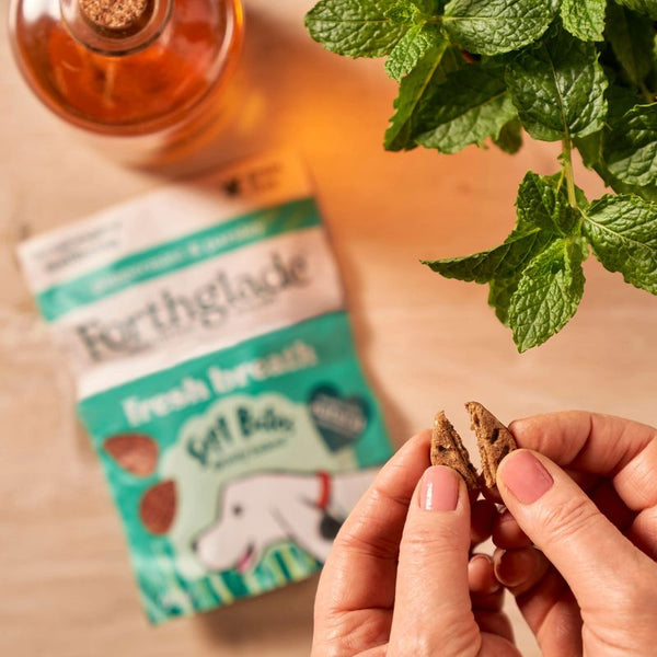 Forthglade Functional Natural Soft Bites - Fresh Breath || undefined || view 6