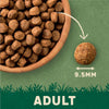 Harringtons Complete Adult Dog - Rich in Turkey with Veg || Harringtons || view 7
