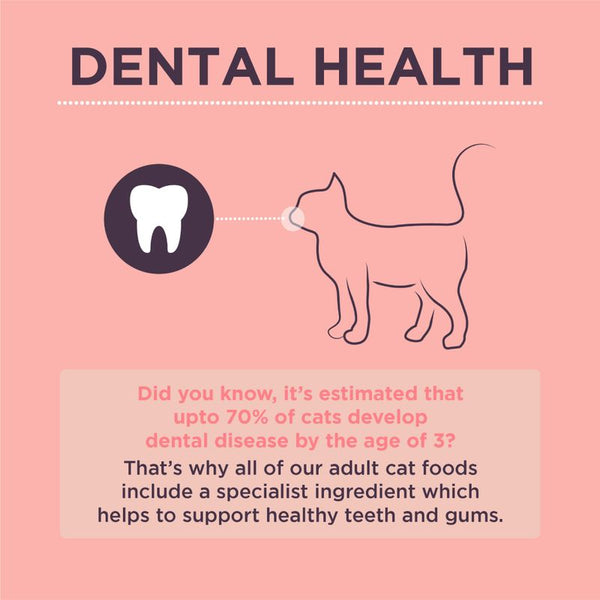 Burgess Adult Cat Rich in Salmon || Burgess || view 7