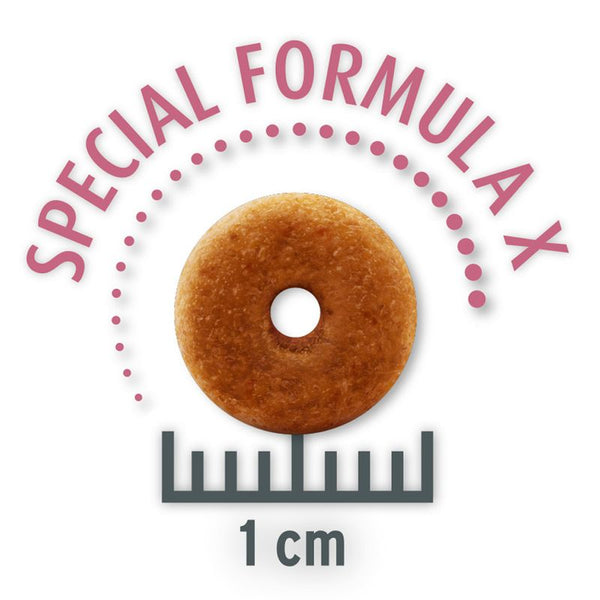 Concept for Life Economy Packs || undefined || view 8