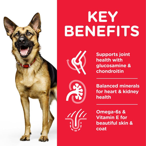 Hill’s Science Plan Mature Adult 6+ Large Breed with Chicken || Hill's Science Plan || view 3