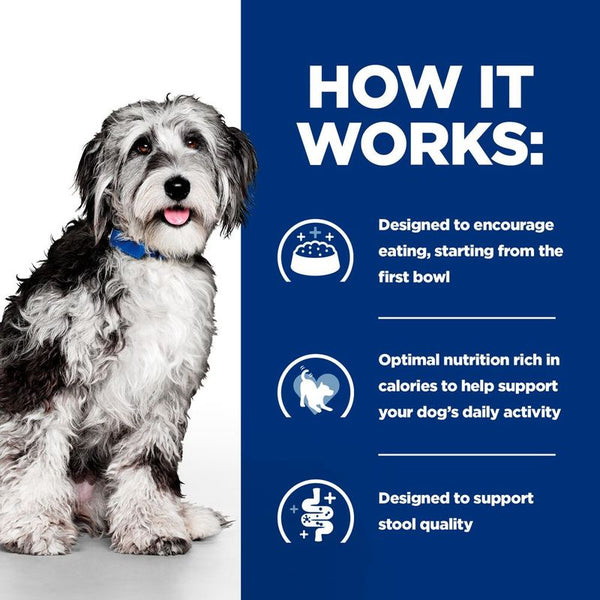 Hill's Prescription Diet On-Care with Chicken || undefined || view 4