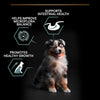 PURINA PRO PLAN Medium Puppy Lamb & Rice Sensitive Digestion || undefined || view 6