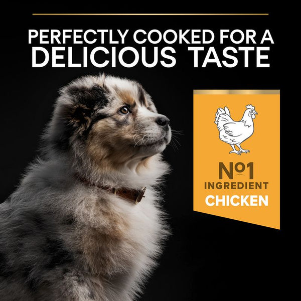 PURINA PRO PLAN Medium Puppy Healthy Start || undefined || view 7