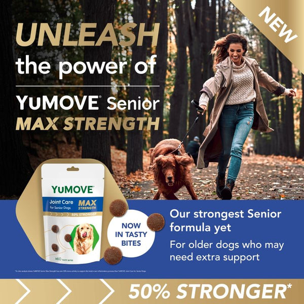YuMOVE Joint Care Daily Bites for Senior Dogs Max Strength || YuMOVE || view 2