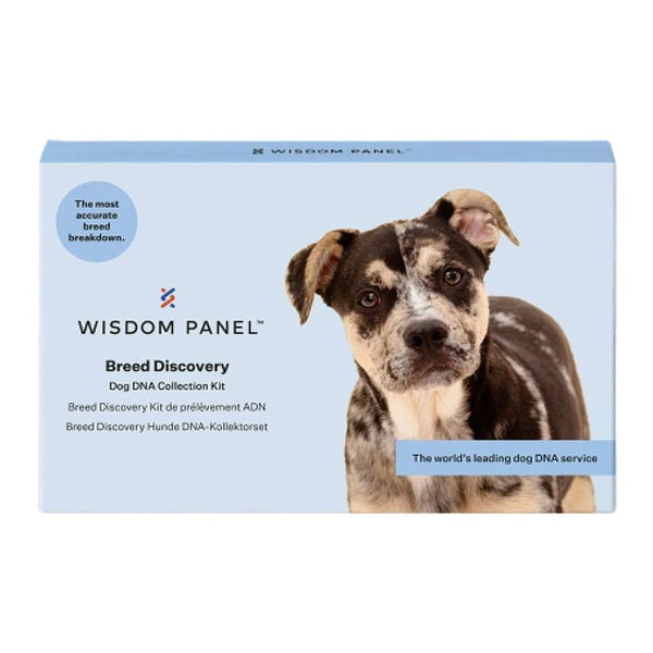 Wisdom Panel™ Breed Discovery Dog DNA Test || Wisdom Panel || view 2