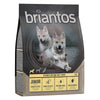 Briantos Junior Grain-Free Chicken & Potato || briantos || view 2