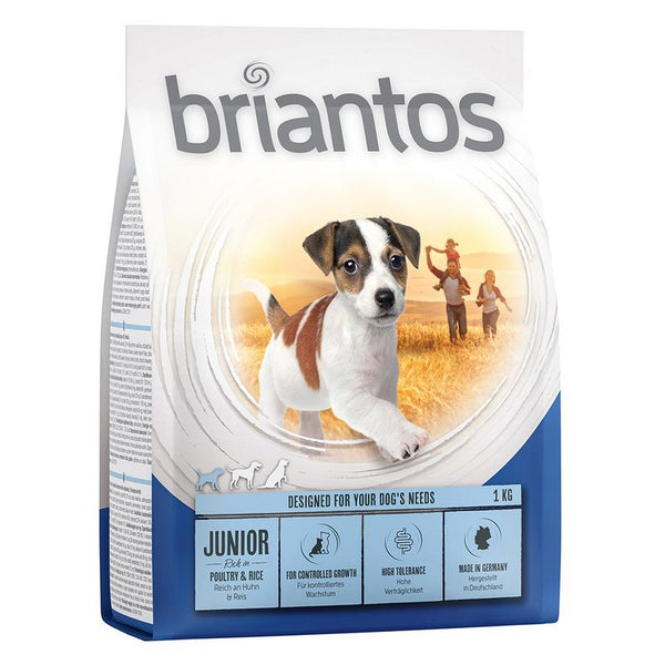 Briantos Junior || briantos || view 2