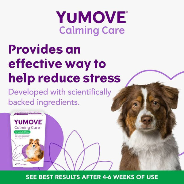 YuMOVE Calming Care for Adult Dogs || YuMOVE || view 4