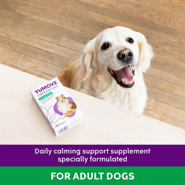 YuMOVE Calming Care for Adult Dogs || YuMOVE || view 5