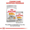 Royal Canin Coat Care Loaf || Royal Canin Care Nutrition || view 6