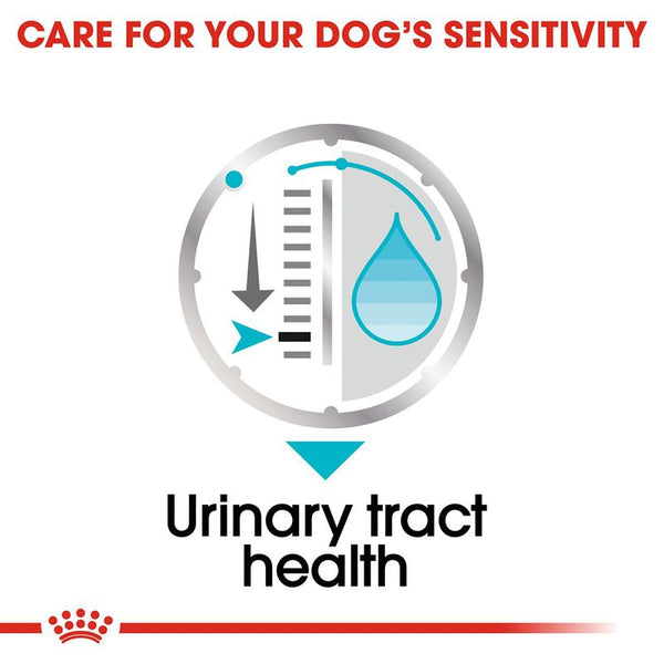Royal Canin Urinary Care in Loaf || Royal Canin Care Nutrition || view 6
