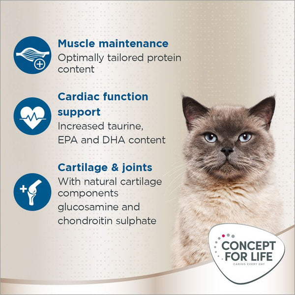 Concept for Life British Shorthair Adult || Concept for Life || view 4