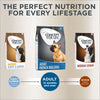 Concept for Life French Bulldog Adult || Concept for Life || view 9